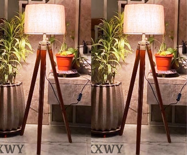 अगर खरीदना चाहते हो Floor lamp, प्रकाशज्वलित भरी इस दुनिया में ये Floor Lamps कर देंगे सुखद एहसास! कॉर्नर हो या मिडिल एरिया, हर जगह दिखेंगे बहुत ही बेहतरीन और आकर्षण 